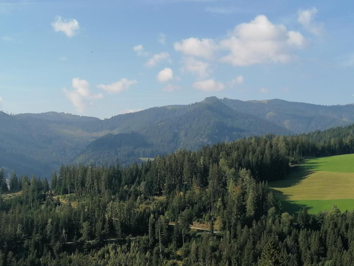 Ferienhaus Stubalpenblick Villa Salla Kültér fotó