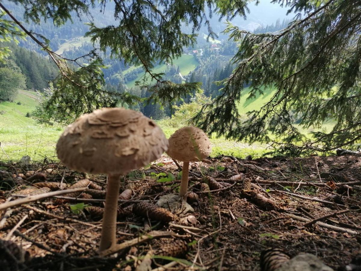 Ferienhaus Stubalpenblick Villa Salla Kültér fotó