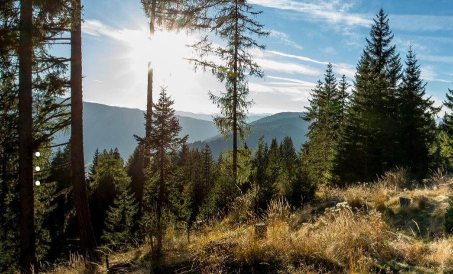 Ferienhaus Stubalpenblick Villa Salla Kültér fotó